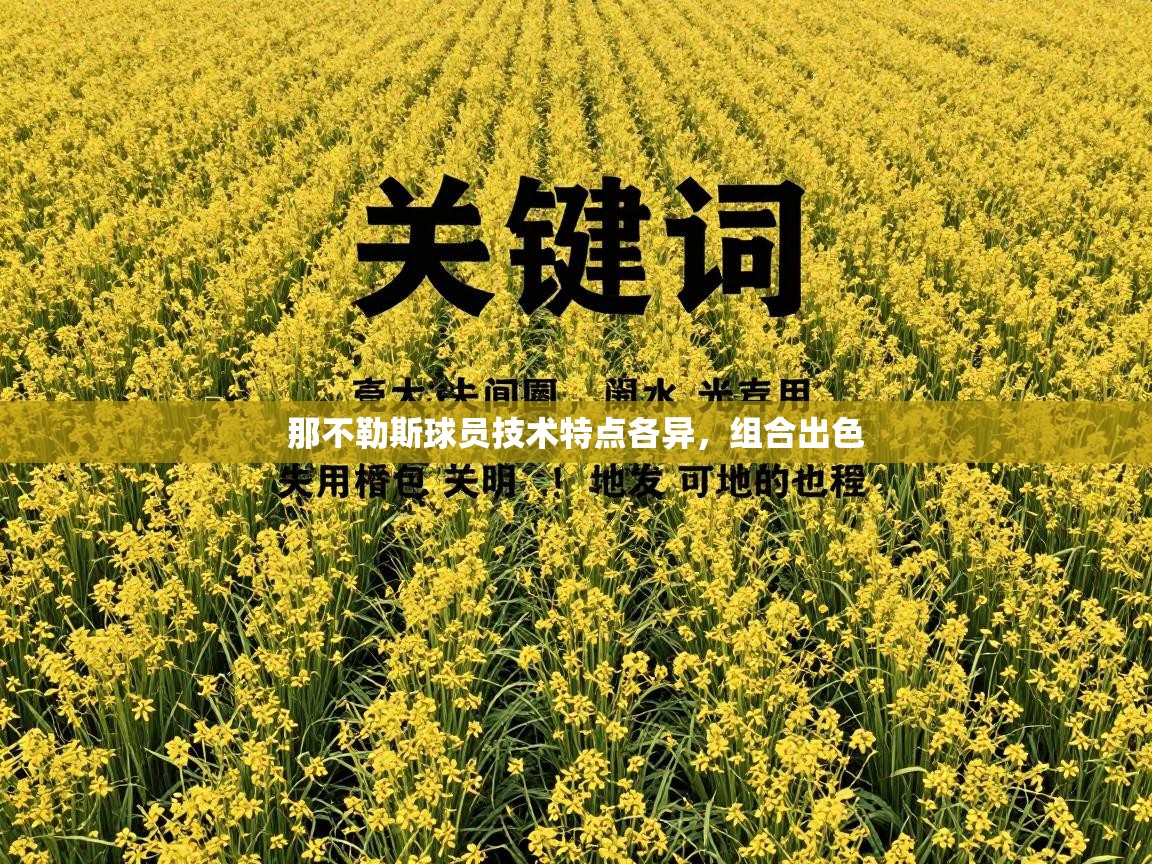 那不勒斯球员技术特点各异，组合出色